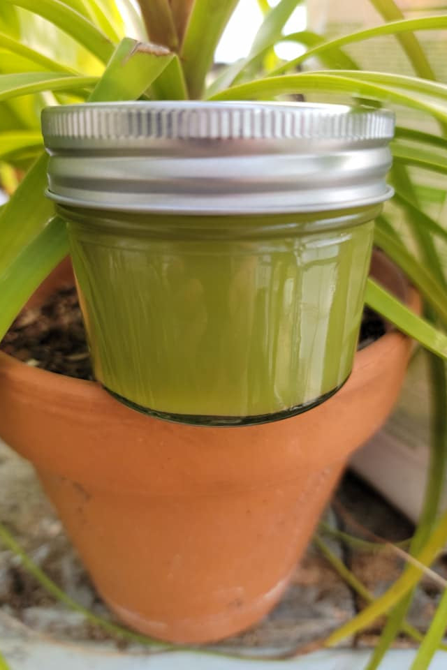 Comfrey Herbal Salve