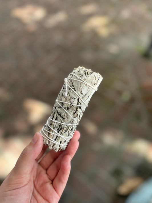 White Sage Bundle