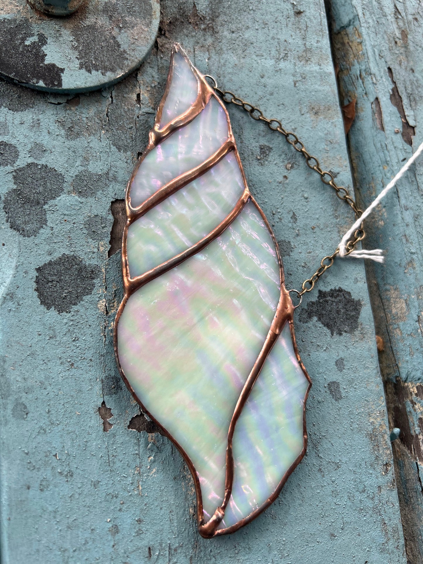 Sea Shell Stained Glass
