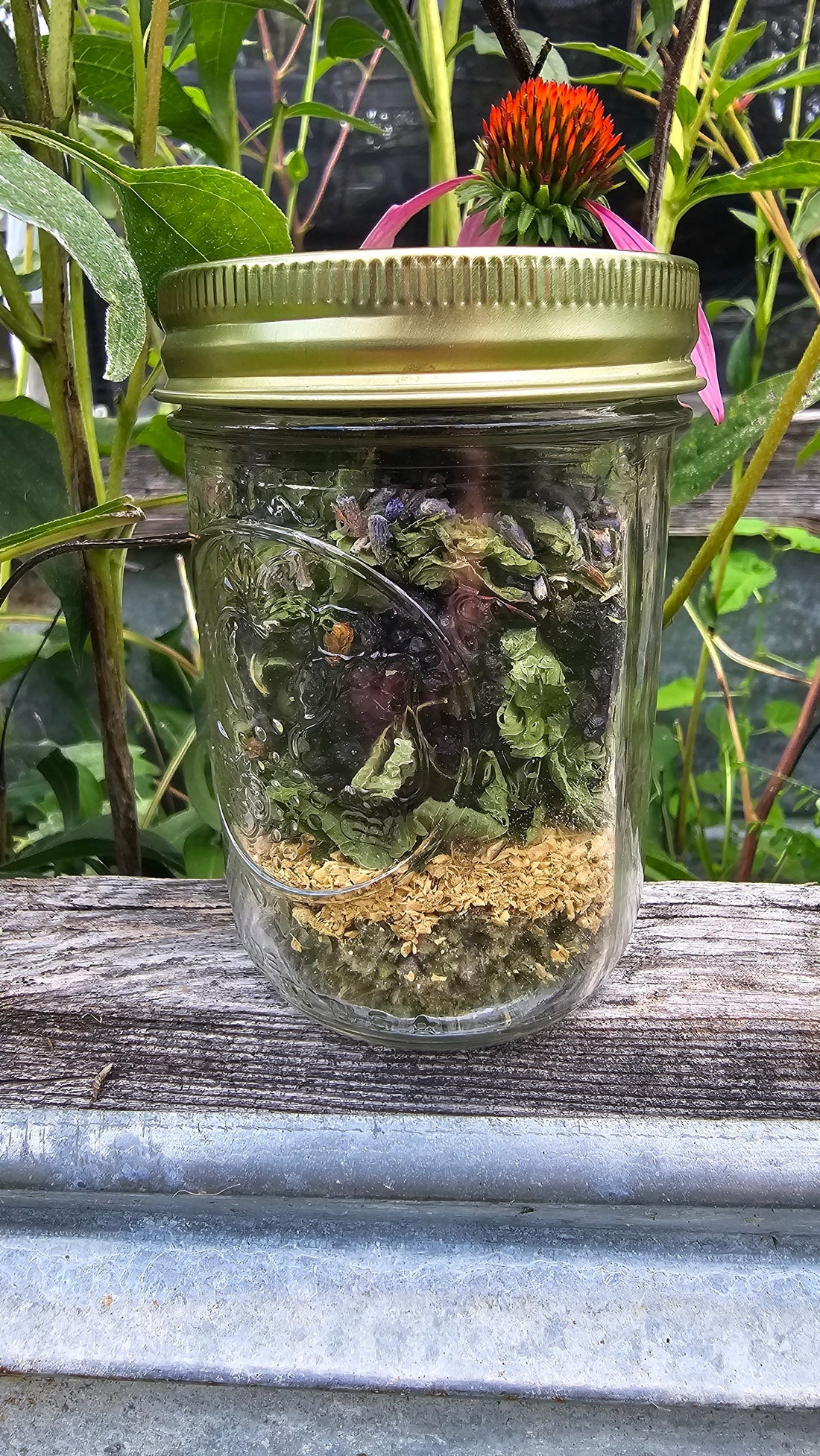 5 Herbal Teas for Immunity & Everyday Wellness