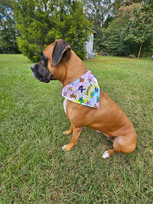 Grateful Dead Dog Bandanna