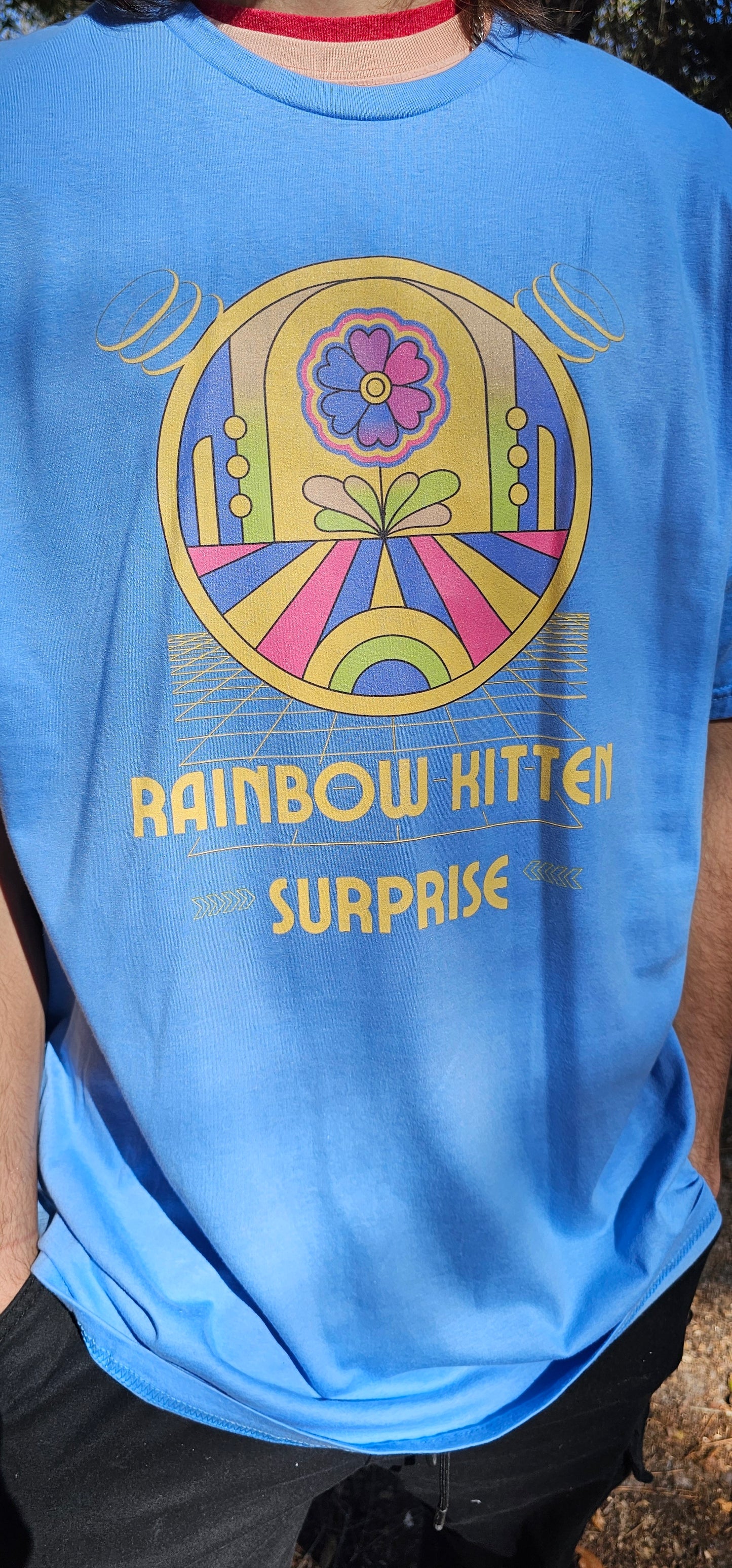 Rainbow Kitten Surprise Tee