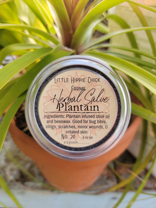 Plantain Herbal Salve for Bites and Stings