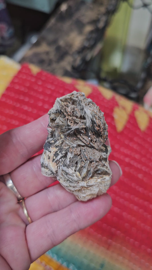 Natural Vanadinite Crystal on Matrix | Morocco | Collector Mineral Specimen